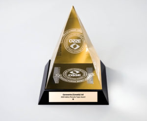 Safety Pinnacle Topaz Award